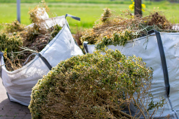 Best Yard Cleanup Services  in Massapequa Park, NY